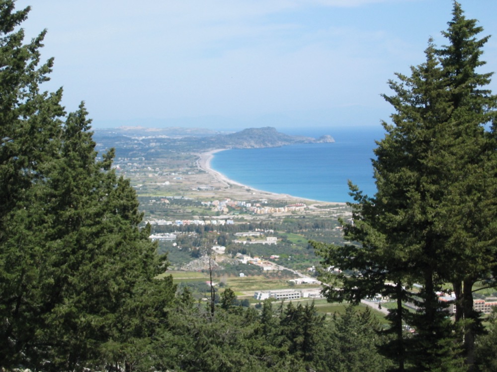 Tall Mediterranean cypress trees
