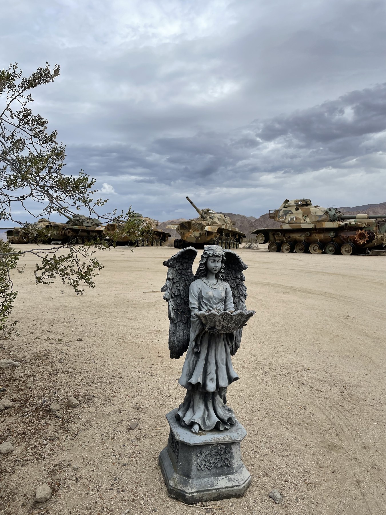 Serafina in an open desert lot under a cloudy sky.